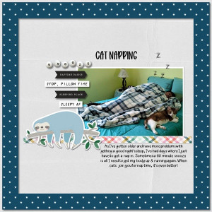Cat Napping