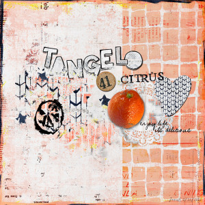 LOD0222_mld_tangelo