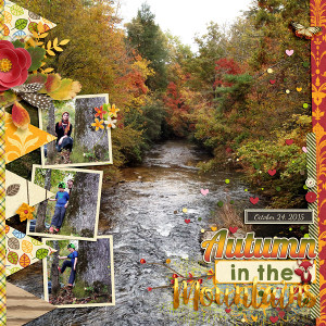 Autumn in the Mountains
