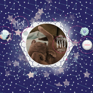 220222_cat Dream