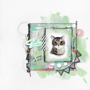 Smokie 800x800