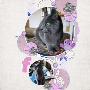 220213_f Cat