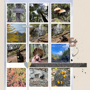 Ramona falls hike