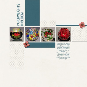Paperweights In Bloom