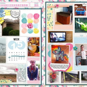 P52 Week 15 2015