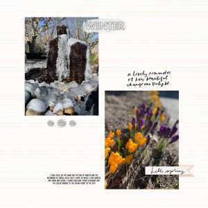 Winter to spring