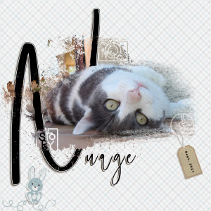 Nuage