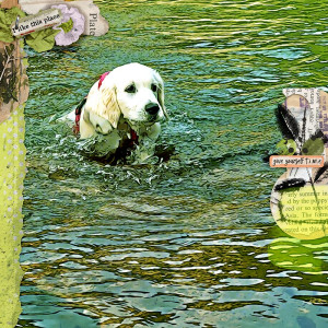 Learning to swim