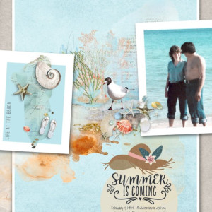 NBK-Design_2022-04_April_SOSN_0406_Sandy-Beaches_web