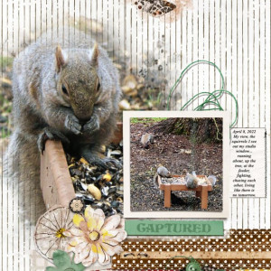 Lynn-Grieveson_2022-04_April_TLP_SOSN_0413_Worn-Strips2_Wild-World_web
