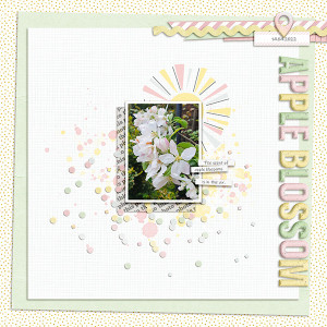 Apple Blossom