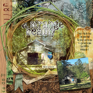 Strange Beauty  AJMuse3April22