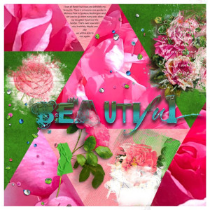Beautiful Roses!