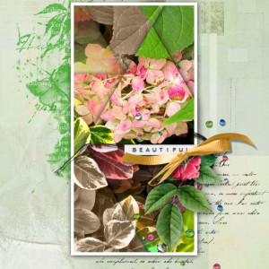 NBK-Design_2022-04_April_SOSN_0420_Rose-Boheme_web