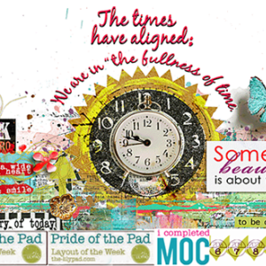Times   signature