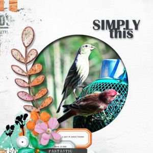 Lynn-Grieveson_2022-05_May_Challenge_Featured_Wild-&-Free_web