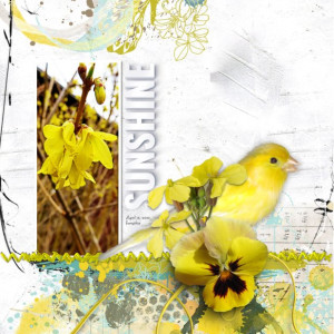 NBK-Design_2022-05_May_TLP_SOSN_0504_Sunnyside_web