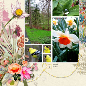 NBK-Design_2022-05_May_BYOC_0506_artCRUSH51_web