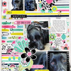 NBK-Design_2022-05_May_iNSD_0507_2022-Templates_Feb-9_web
