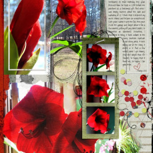 NBK-Design_2022-05_May_iNSD_0507_2022-Templates_Mar-13_web