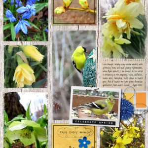 NBK-Design_2022-05_May_iNSD_0507_2022-Templates_Apr-17_web