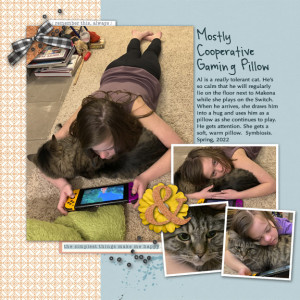 Mostly Cooperative Gaming Pillow