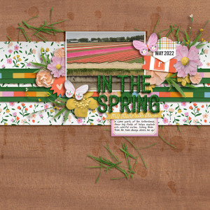In The Spring