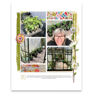 Garden journal 3