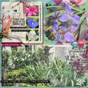 A Day in the Garden