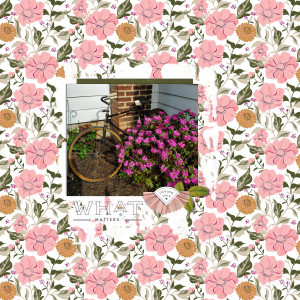 MAY 22 RANDOM