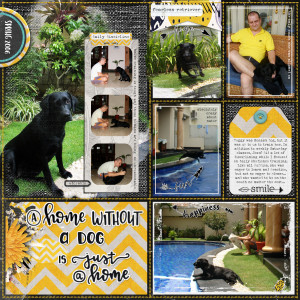 A home with a dog