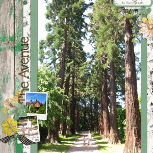 The Avenue