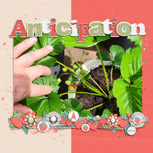 Anticipation