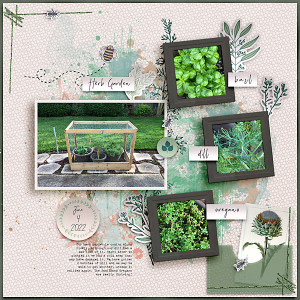 Herb Garden