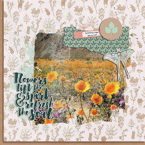 flowers lift the spirit