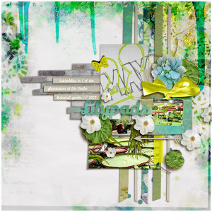 Lilypads