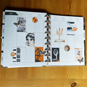 Happy planner (10)