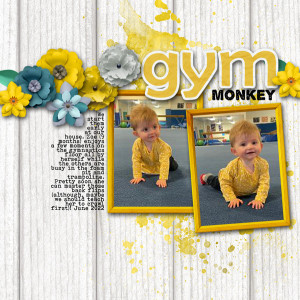 Littlest Gym Monkey