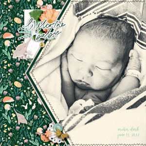 Welcome Baby
