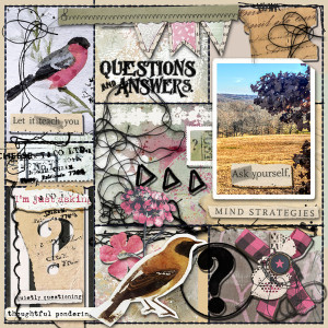 July Lynn Grieveson Scraplift Challenge