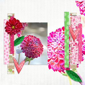 Dahlia