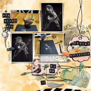life with birds - bird art edition