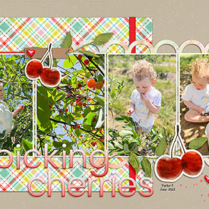 picking cherries--12x24