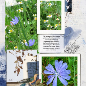 Marilyn_Rachel-Jefferies_2022-07_July_New_0715_Healing_web