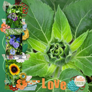 Right Side Garden Love KJ July Challenge