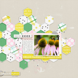 bee paradise