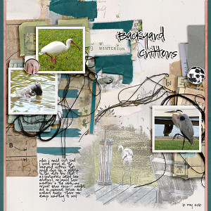 Backyard Critters