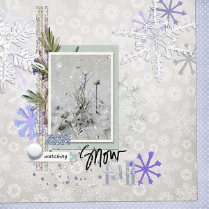 SnowFall 2202