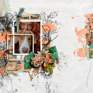 SOSN_aug17_RJ_LG_Meet Bear