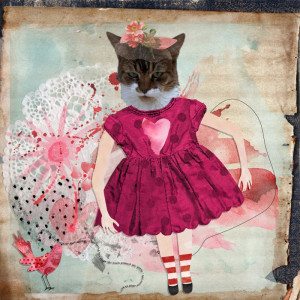 Josey Patty's Cat